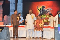 TSR Kakatiya Cultural Festival Photos